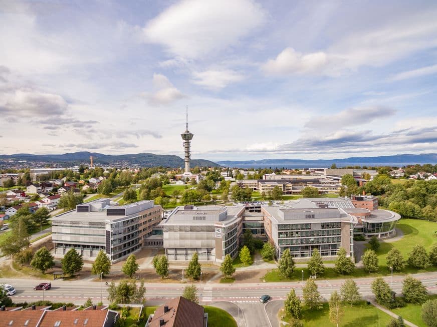 Rådgiver utleie
