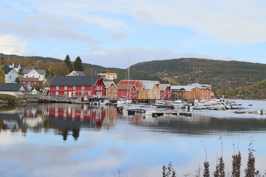 Økonomisjef
